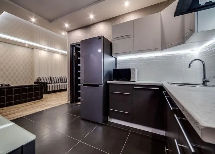 舒适公寓 公寓 利沃夫